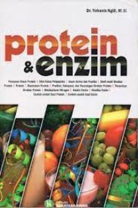 Protein  & Enzim
